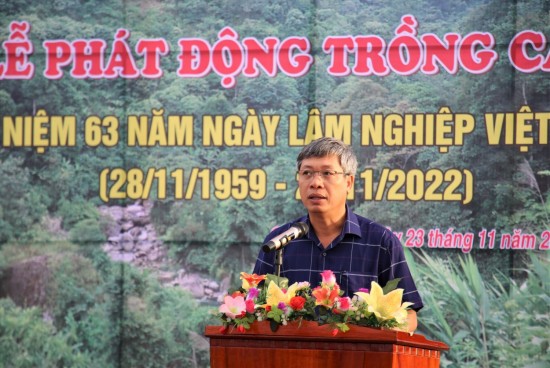 hinh anh Buu