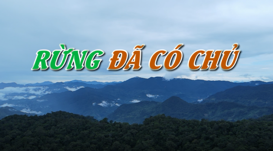 Video phóng sự: Rừng đã có chủ