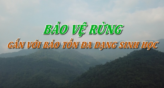 Bảo vệ rừng gắn với bảo tồn đa dạng sinh học