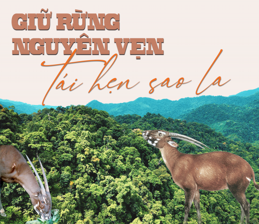 Giữ rừng nguyên vẹn Tá hẹn sao la